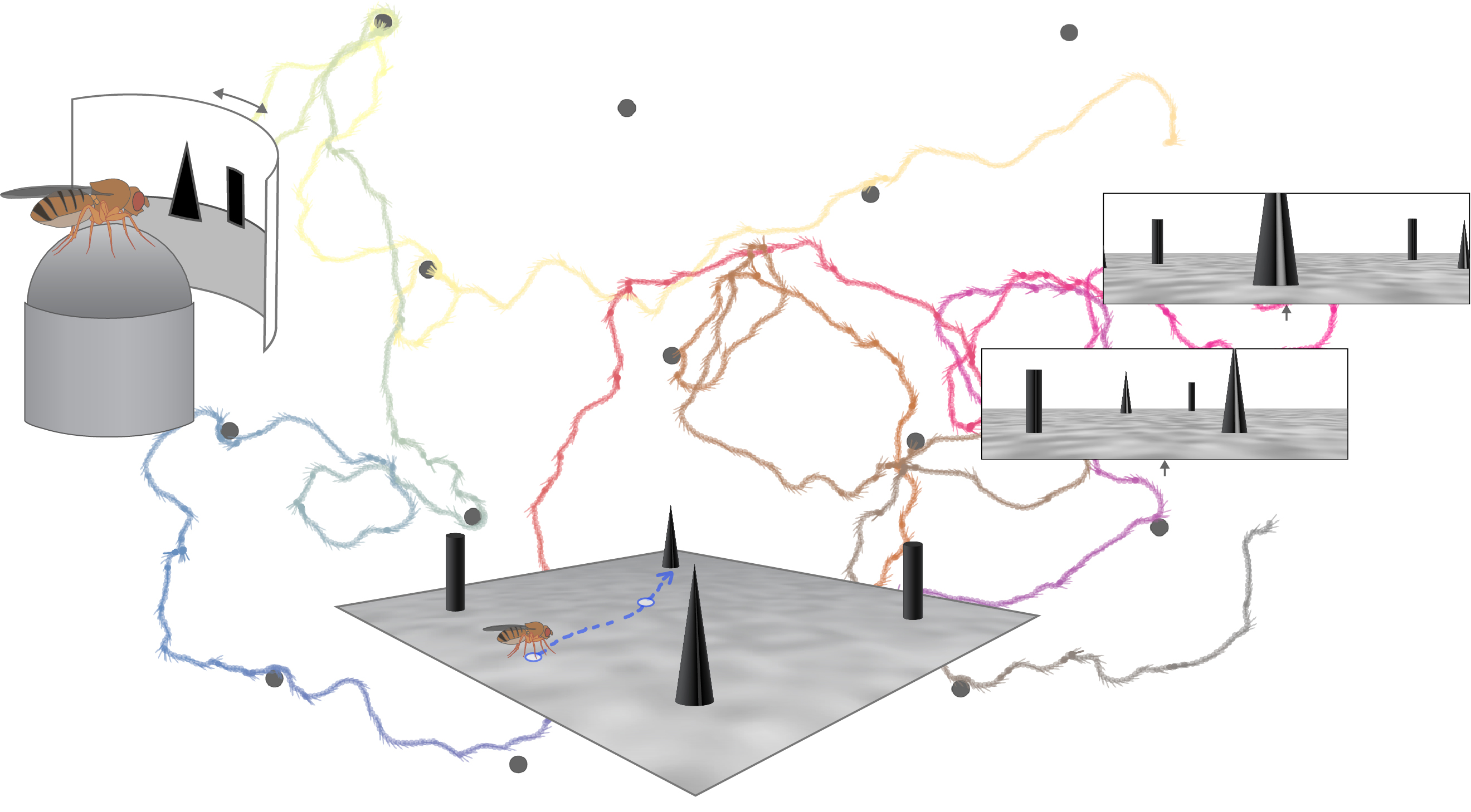 Fly Navigation VR